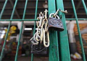 合肥城区禁售活禽，品牌冷鲜禽与生鲜水产品保障供应