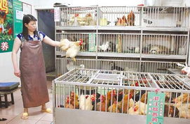 杭州市拟永久关闭活禽交易市场 公共卫生与城市治理的新考量