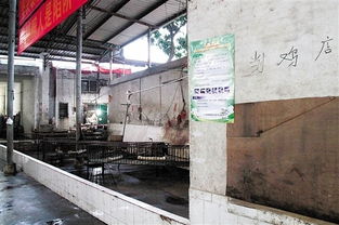 东莞本周活禽市场统一休市，市民仍可放心购买生鲜禽类及水产品