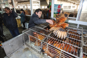 重庆推行活禽销售分区管理，守护市民“菜篮子”安全