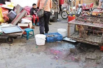 创出更美盐边 规范活禽宰杀与售卖，盐边这样做