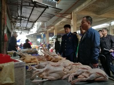 守护舌尖安全 厦门同安查处7个违规活禽宰杀摊点，聚焦水产品流通合规