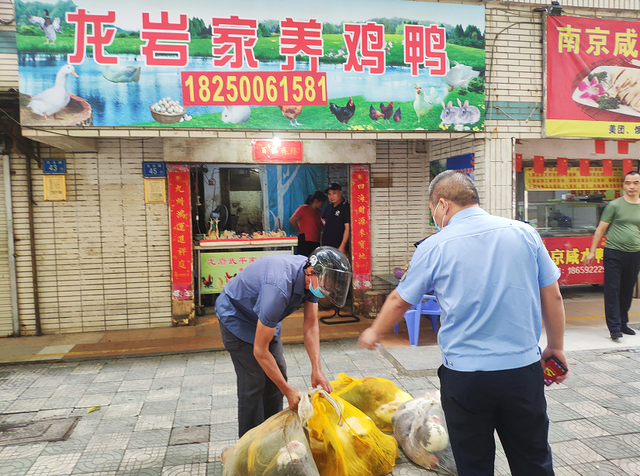 净化节日市场环境 海沧查获活禽47只 生鲜水产品