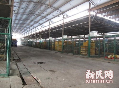 上海活禽交易恢复营业首日纪实 暂无在售活禽