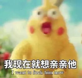 表情包多的同学，人缘总不会太差